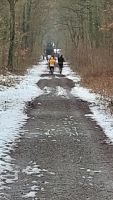 26 misburger volkslauf 5 20230314