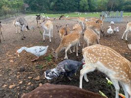 74c86d59 950ac9 b286 cae3a72d9571.